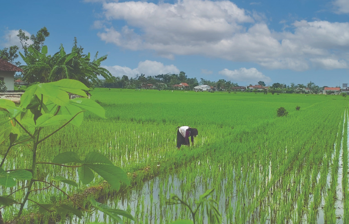 Ahead of Ramadan and Eid, Blitar Ensures Stable Food Supply and Urges Calm Buying